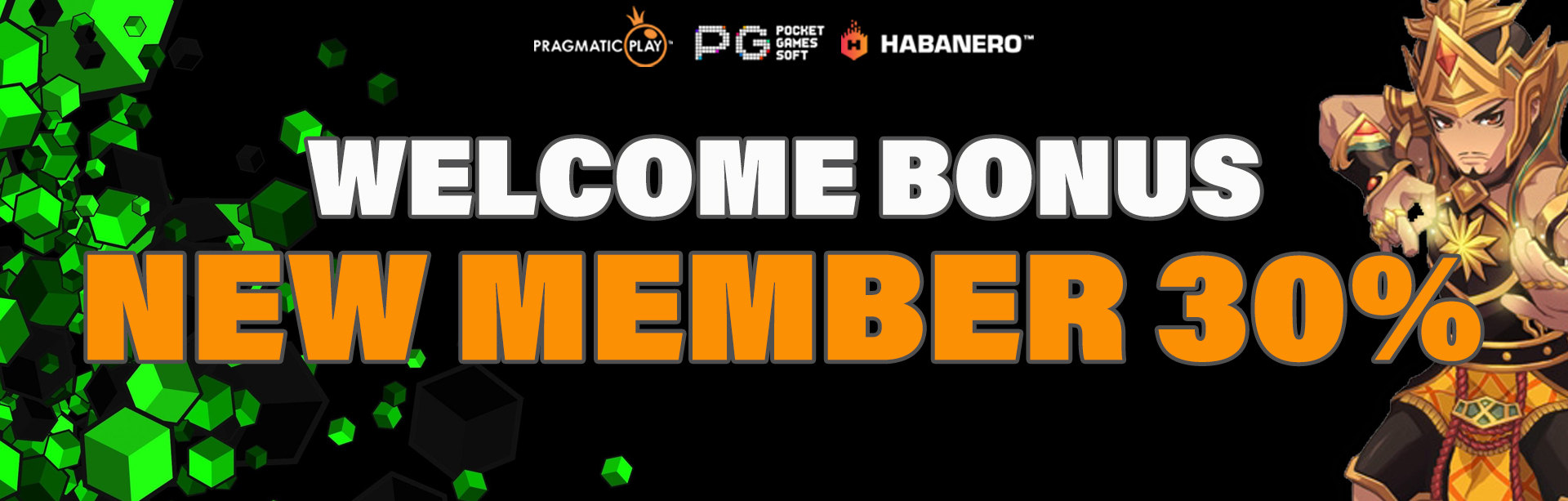 WELCOME BONUS NEW MEMBER 30%